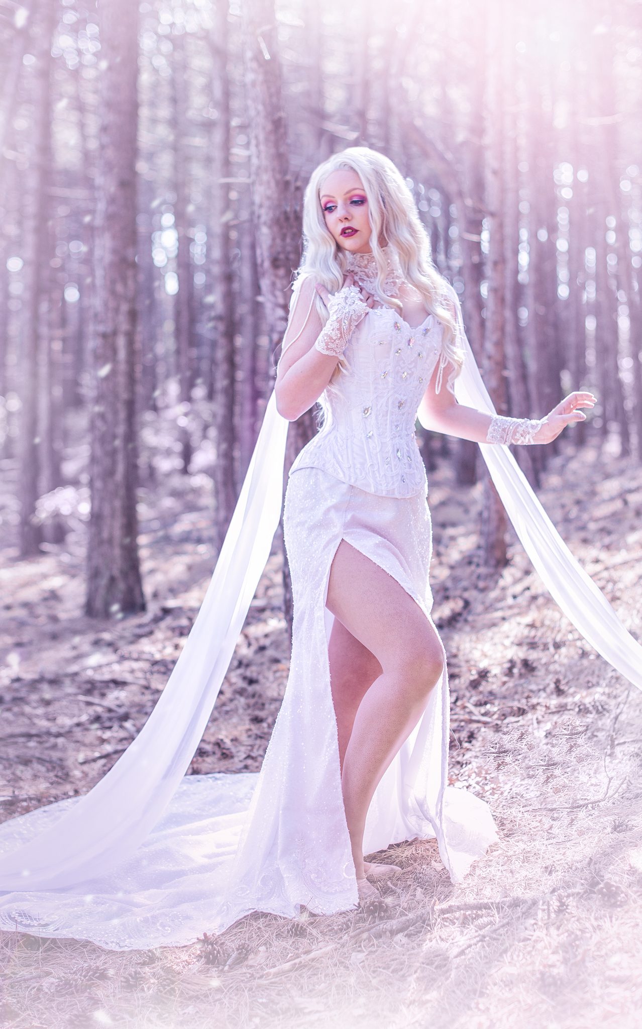 Elsa Spirit Gown costume